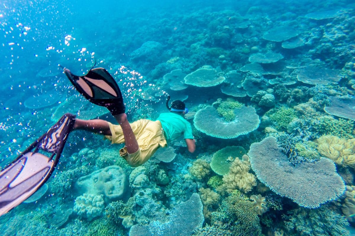 Wakatobi