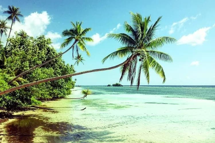 Wakatobi